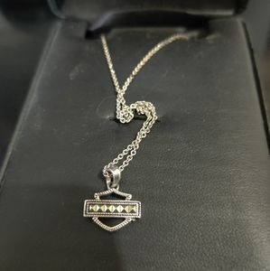 Nwt HD necklace and earring set